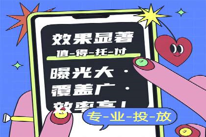 大型SEM服务公司案例分析